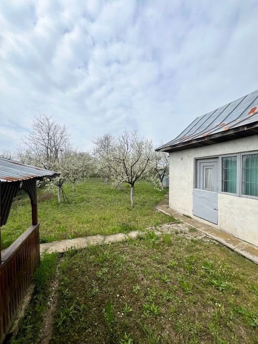 Casa sat Cojesti jud Calarasi