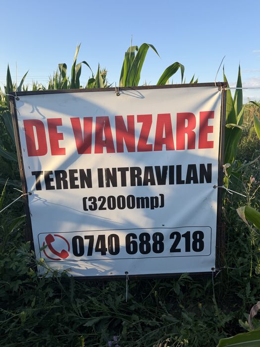 Teren intravilan Bacia 32000mp