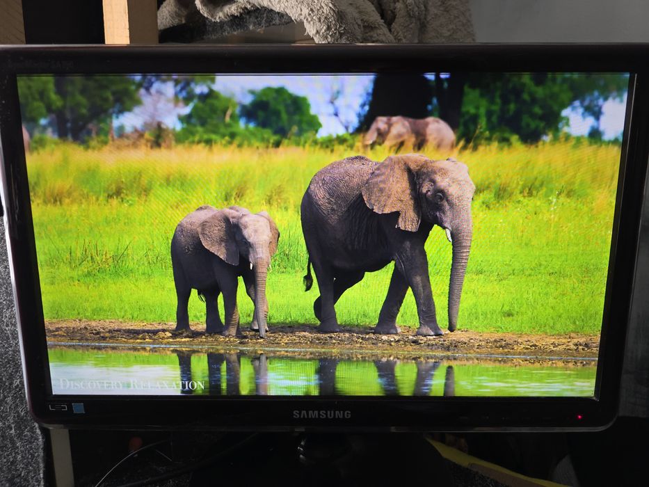 Монитор 21.5" Samsung LS22A350 (VGA)