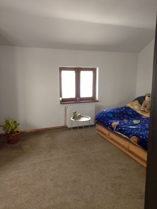 Vând  casă si hală sau separat