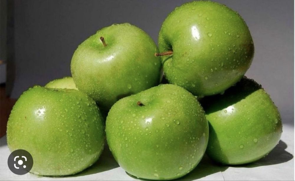 жеміс тал көшетер