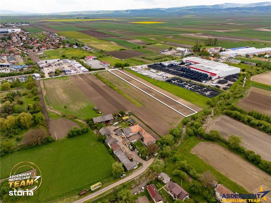 FILM! 5.000 mp teren, la marginea orasului Targu Secuiesc, aria indust