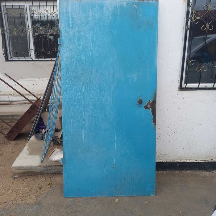 Железная дверь темыр есык