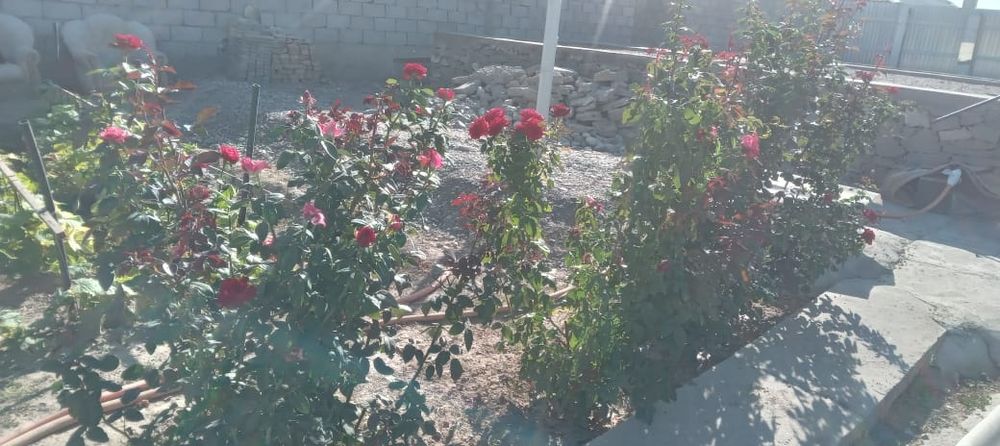 Продаю дом или квартиру обмен