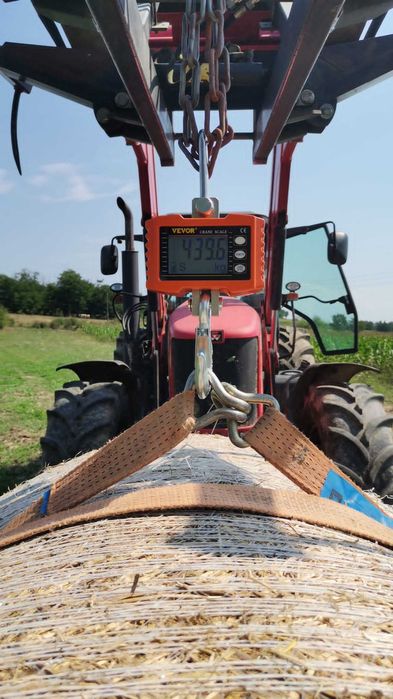 lucerna si amestec trifoi cu lucerna si golomat