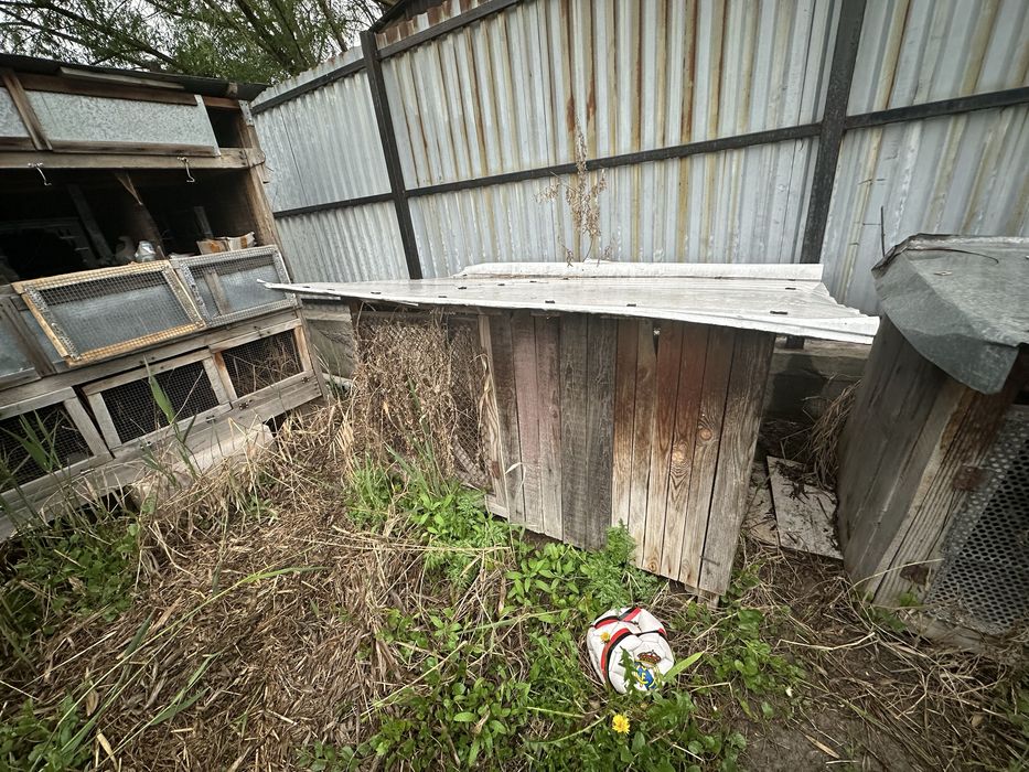 Клетки для кролов , крольчатник