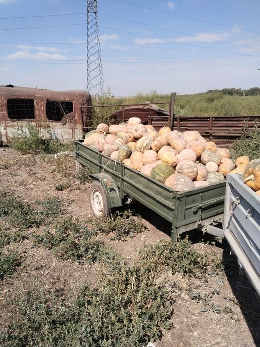 Хабарласыңыздар келісім болады.
