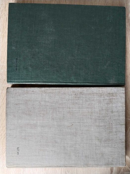 ,Световна класика за деца и юноши: ,Записки на ловеца,, и ,,Анелка,,