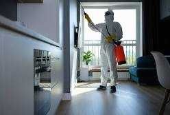 Уничтожение насекомых за 1 день