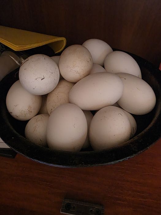 Сатылады продаётся