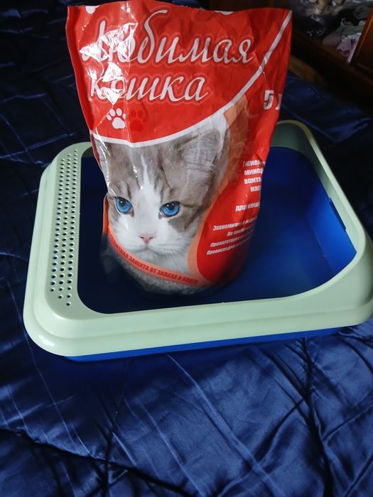 Лоток  для кошки с наполнителем