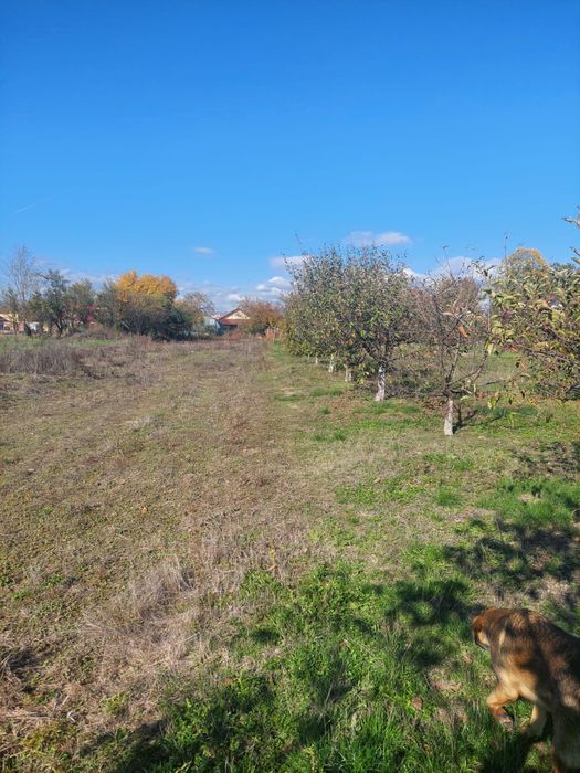 Vand teren extravilan aproape de intravilan 2600mp Targu Jiu