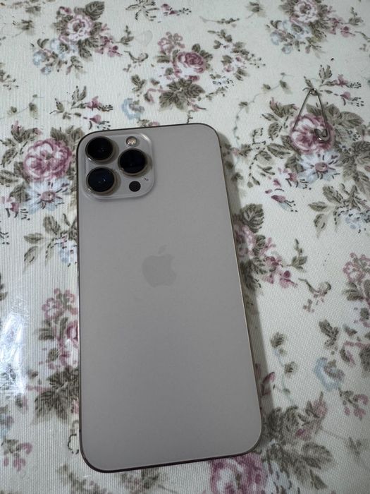 Iphone 13 pro max 256gb