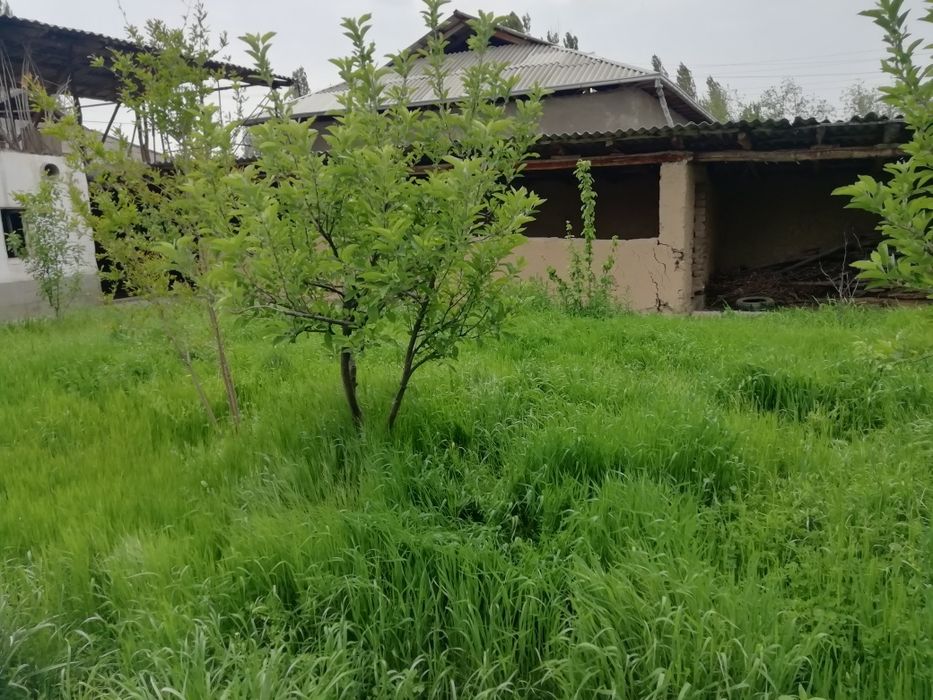 Участка сотилади 9 сотих срочно