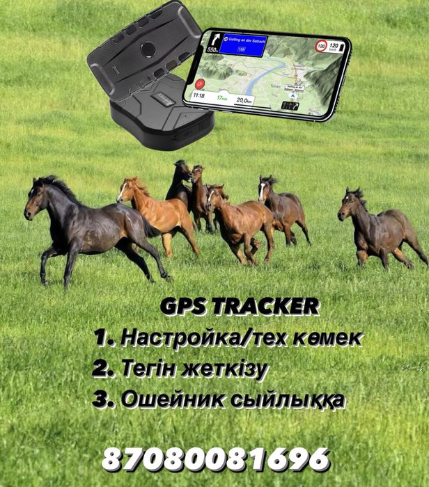 ЖПС трекер. GPS для лошадей и техники