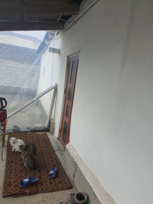 Продаю дом 11 соток