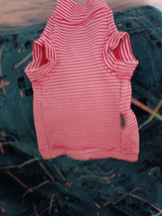 Вещи для животных