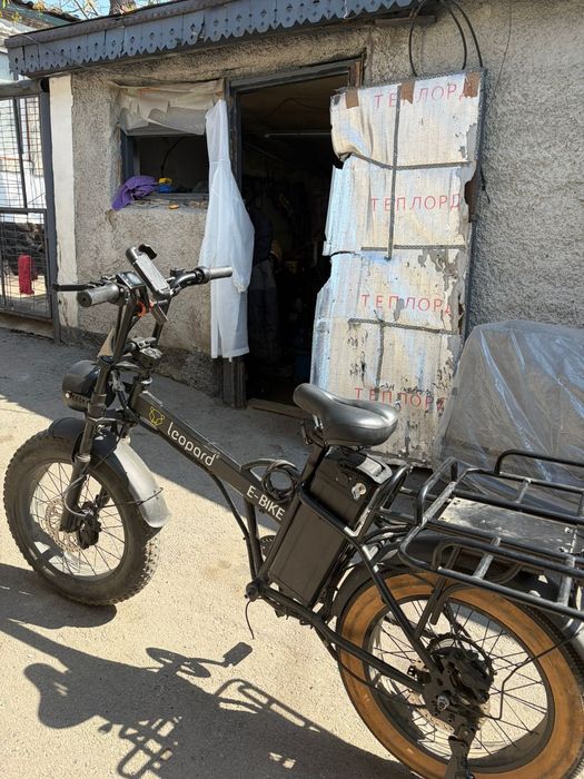 Электро велик леопард