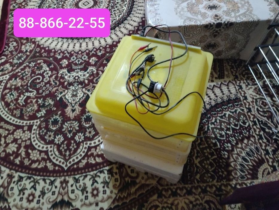 Inkubator yangi.