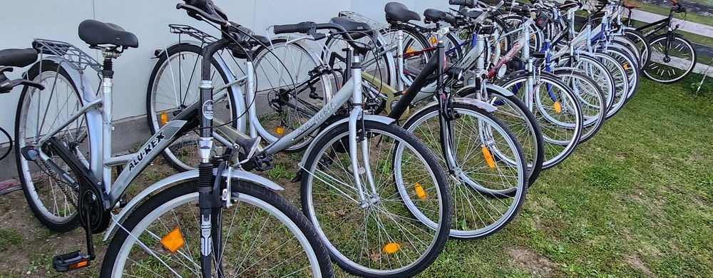 Bicicleta/Biciclete Dama