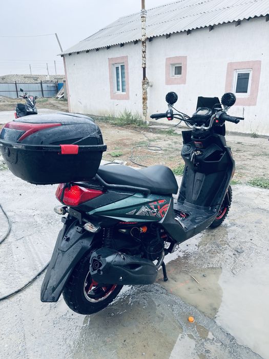 Самурай лия продаже