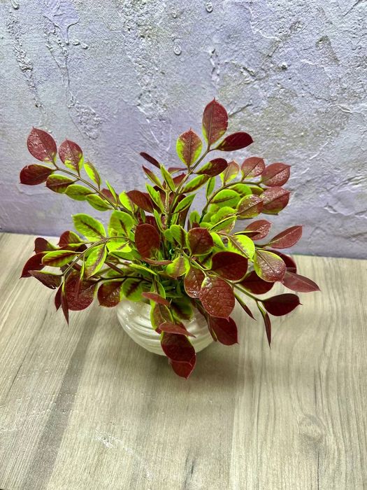 Интерьерные цветы