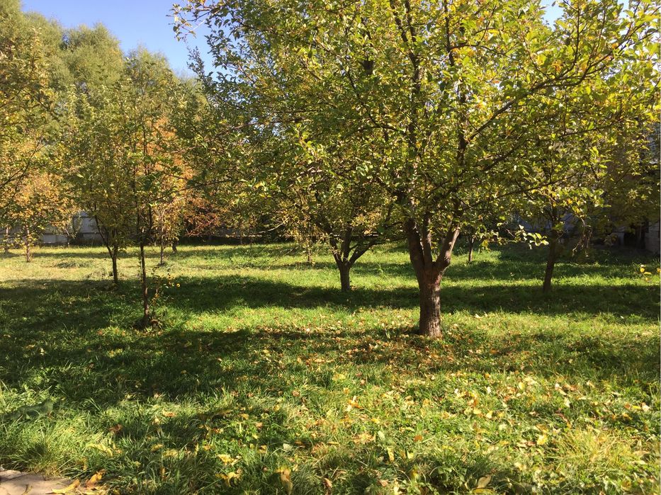 Продам дом с большим участком