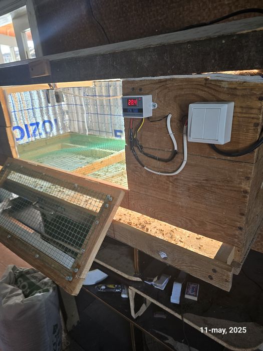 Bruder брудер жужалар учун