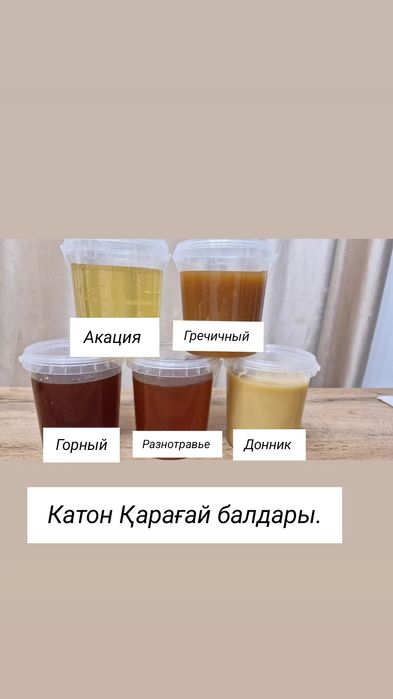 Бал (Мёд) Катон Қарағайдікі