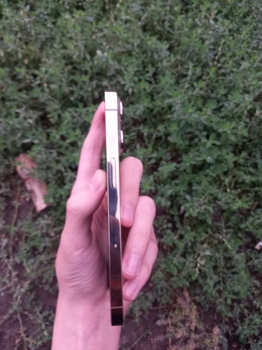 iphone 13 pro 256 gold