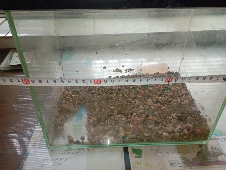 Аквариум не большой