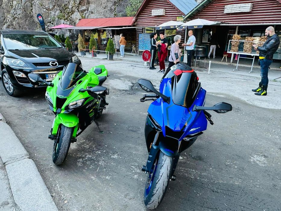 Kawasaki zx10r replica 2019