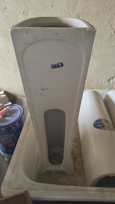 Раковина тюльпан