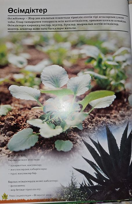 Балалар энциклопедиясы " Өсімдіктер әлемі "