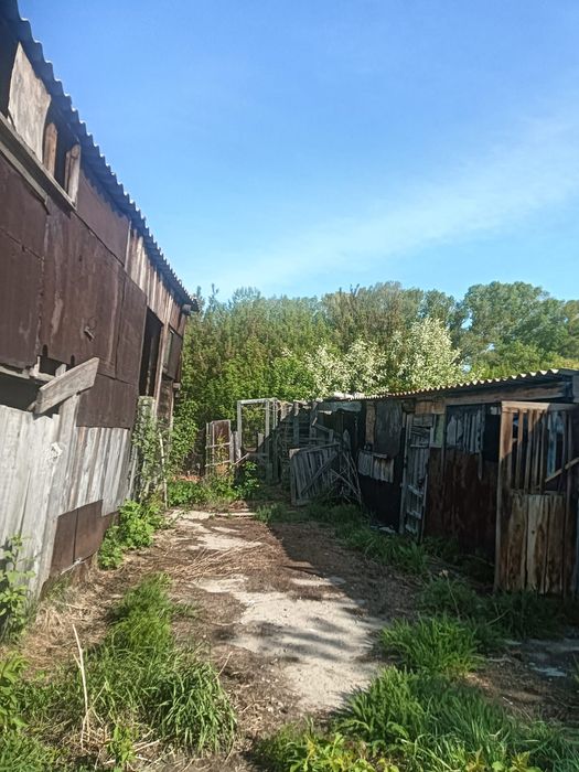 Продается дом, НЕДОРОГО