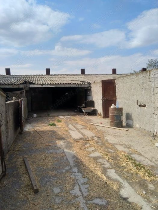 Vând FERMA cu teren 4 hectare Plopeni Constanta