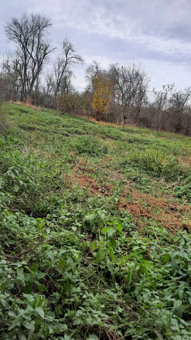 Casă și grădină de vînzare