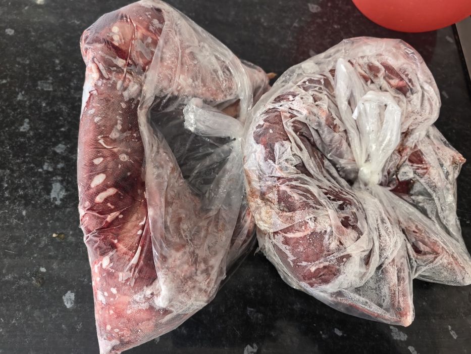 Мяса дики кролика делокотез