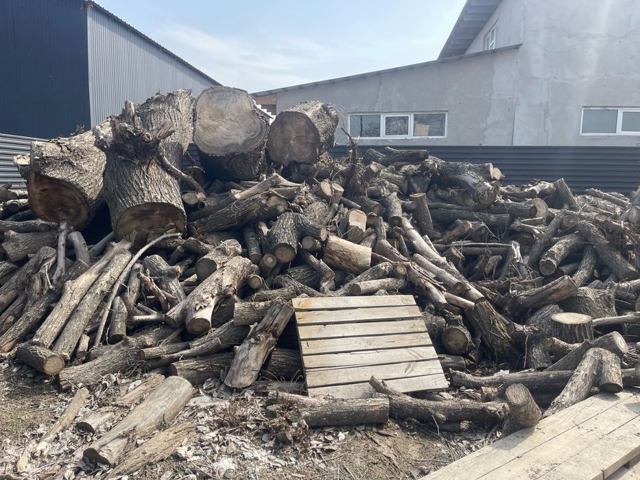 Дрова сухие Карагач