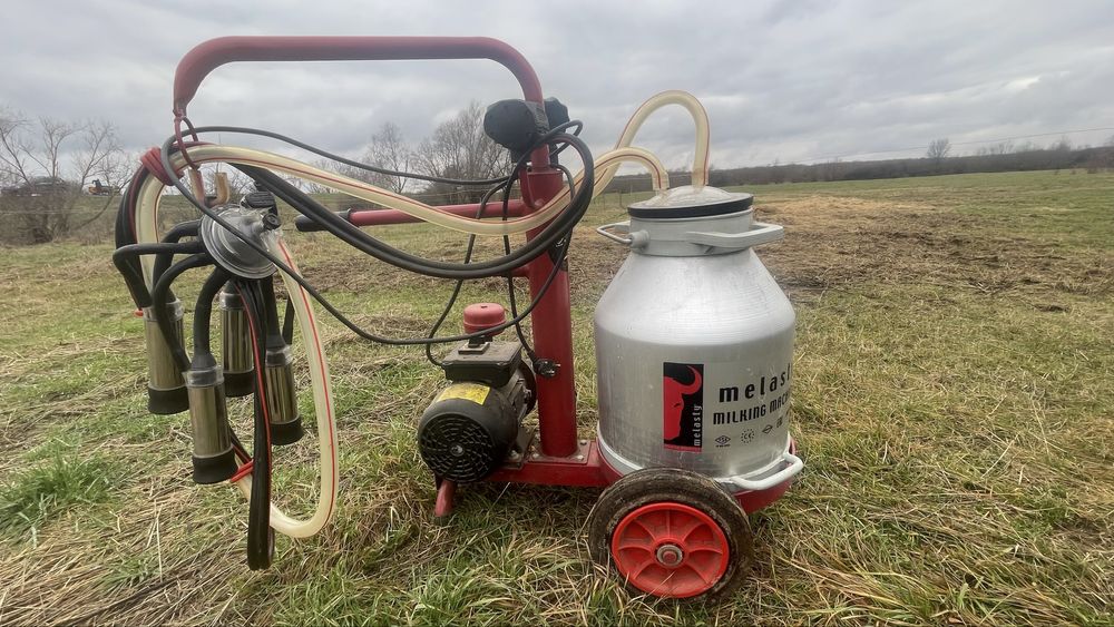 Aparat de muls vaci compact cu un post