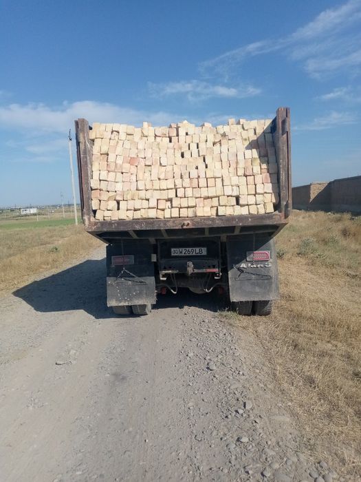 Gʻisht paltarashka kattaqoʻrgʻin