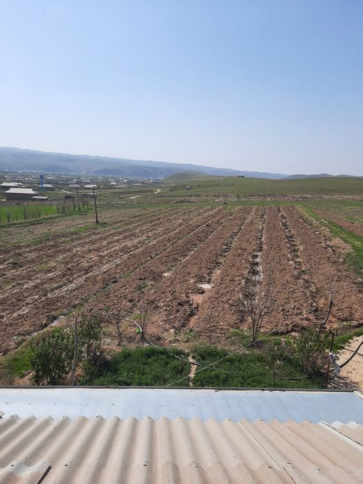 Yaxshi joy uyxam bor 2 xonali daliziblsn