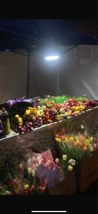 Тюльпаны соберем букеты на любую сумму