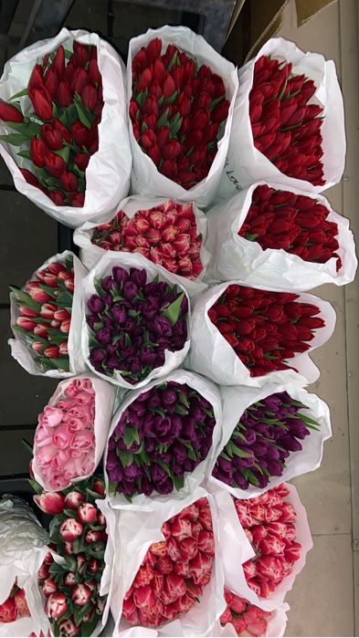 Тюльпаны Алматы оптом и в розницу