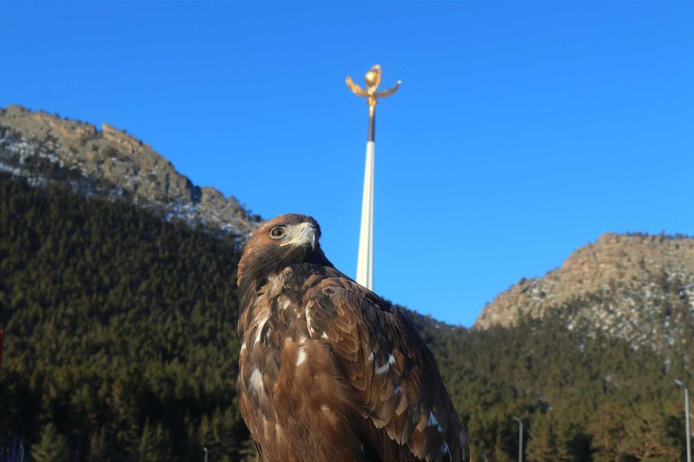 Фотограф Астана: 10000