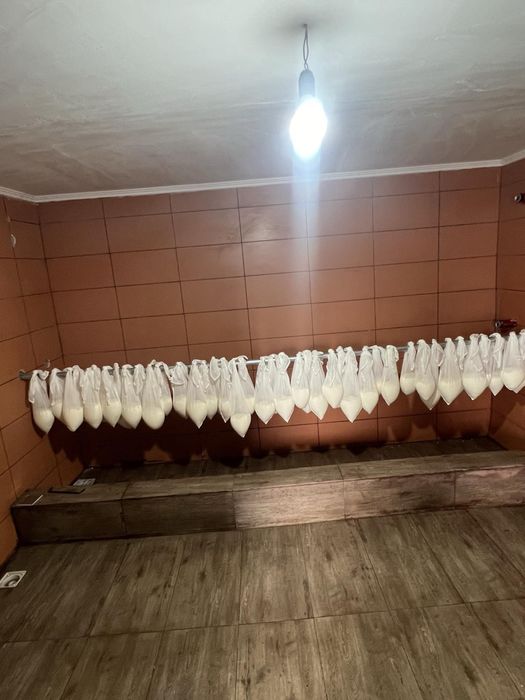 Vand branza din lapte de capră fara nici un amestec