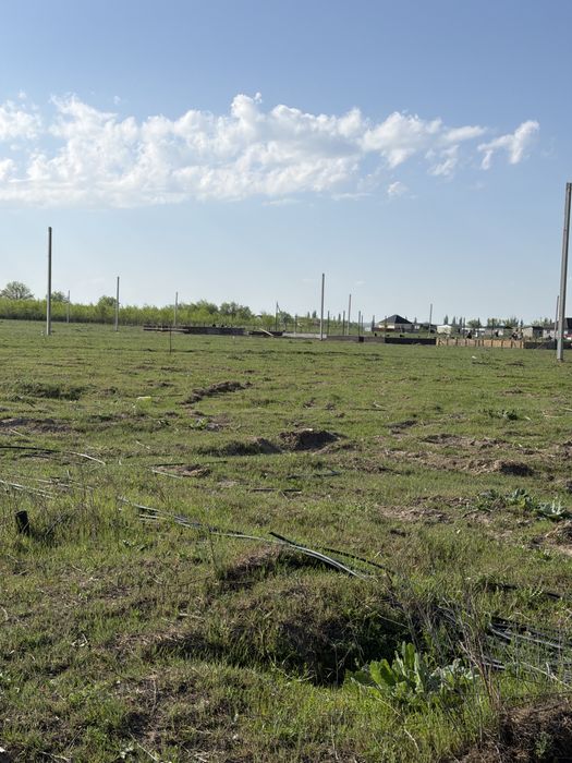 Береке ( Жетысу)