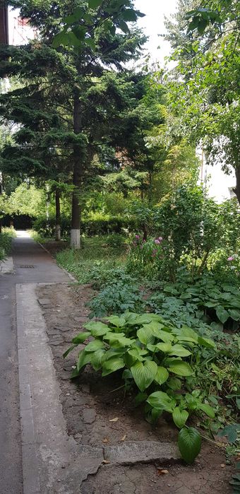 Închiriez apartament  2 camere decomandat Băneasa