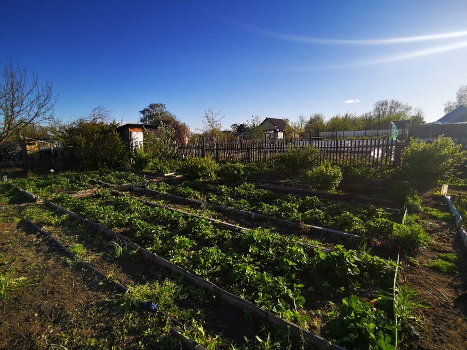 Дача 1 общество 6.5 соток