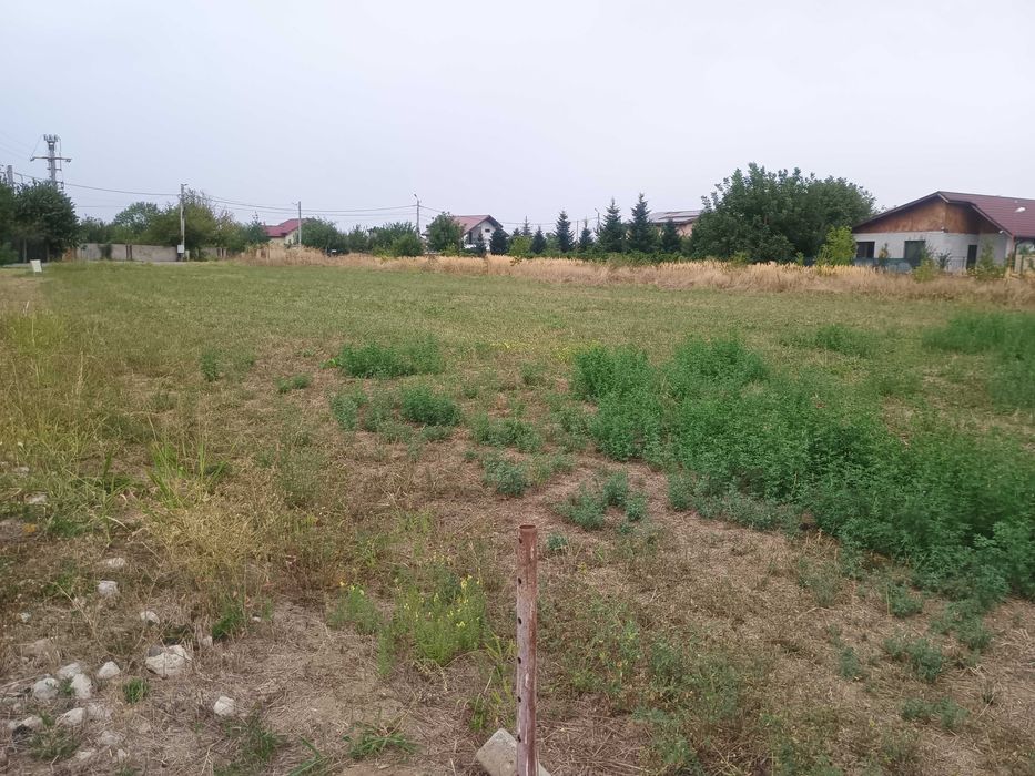 Teren intravila. Teghes Domnesti